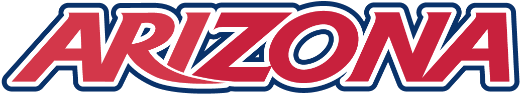 Arizona Wildcats 2003-Pres Wordmark Logo v8 iron on transfers for clothing